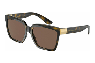 Dolce & Gabbana DG6165 502/73