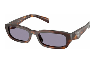 Prada PR B06S 15W03N GreyClassic Tortoise