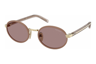 Prada PR B56S 24E20I Light Purple BrownPecan