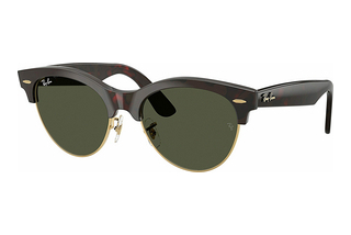 Ray-Ban RB2341 990/31 GreenRed Havana On Gold