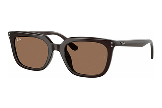 Ray-Ban RB4439D 623173 Dark BrownOpal Brown