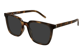 Saint Laurent SL M146/K 003 HAVANA