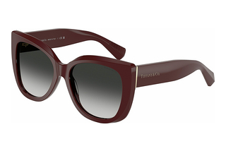 Tiffany TF4229 83893C Grey GradientBurgundy