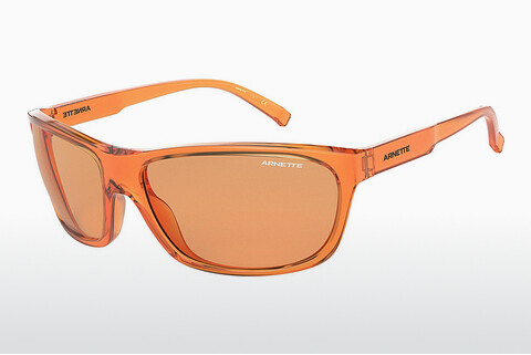 Óculos de marca Arnette El Carmen (AN4263 262774)