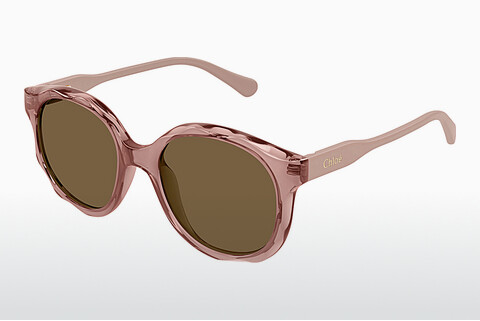 Óculos de marca Chloé CC0019S 002