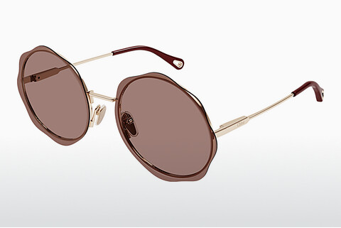 Óculos de marca Chloé CH0202S 003