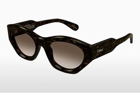Óculos de marca Chloé CH0220S 002