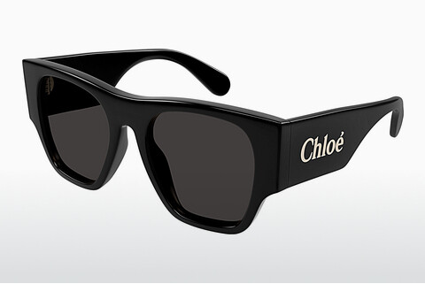 Óculos de marca Chloé CH0233S 001