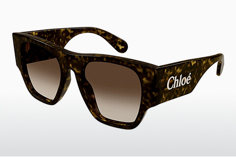 Óculos de marca Chloé CH0233S 002