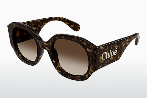 Óculos de marca Chloé CH0234S 002