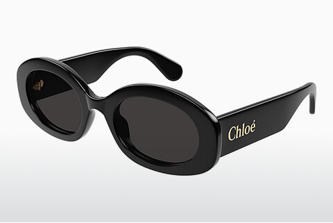 Óculos de marca Chloé CH0258S 001