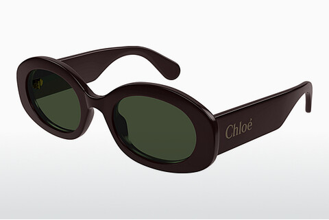 Óculos de marca Chloé CH0258S 003