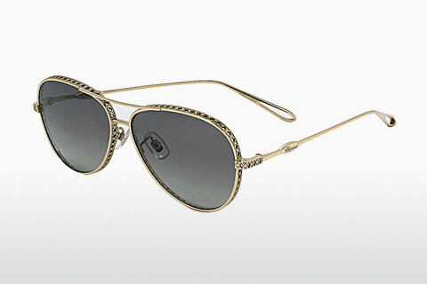 Óculos de marca Chopard SCHC86M 300P
