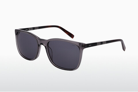 Óculos de marca Esprit ET40028 505
