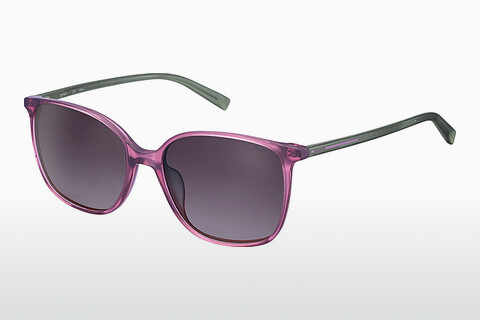 Óculos de marca Esprit ET40052 577