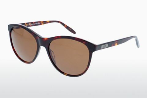 Óculos de marca HIS Eyewear HS381 003