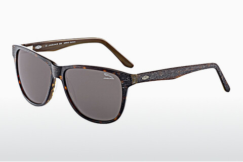 Óculos de marca Jaguar 37161 6133