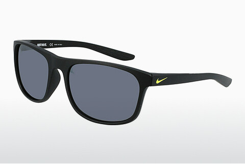 Óculos de marca Nike NIKE ENDURE FJ2185 011