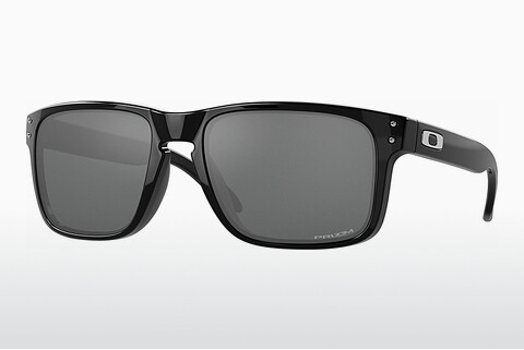 Óculos de marca Oakley HOLBROOK (OO9102 9102E1)