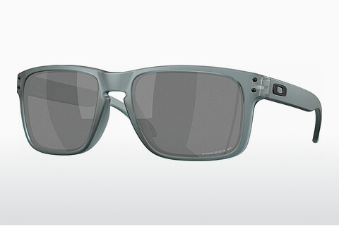 Óculos de marca Oakley HOLBROOK (OO9102 9102Z4)