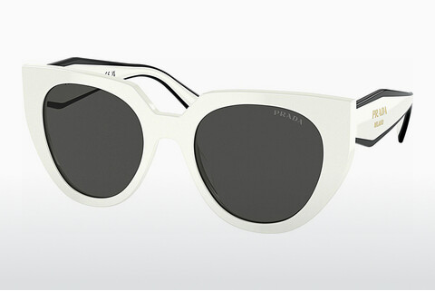 Óculos de marca Prada PR 14WS 1425S0