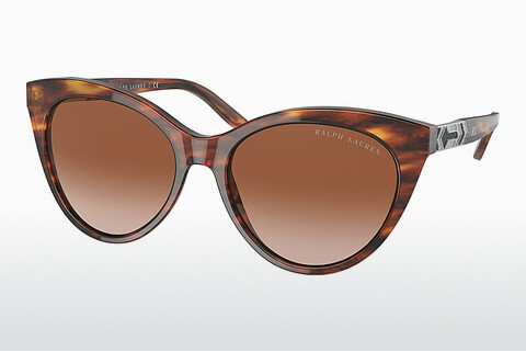 Óculos de marca Ralph Lauren RL8195B 500713