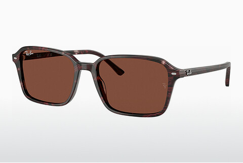 Óculos de marca Ray-Ban RAIMOND (RB2231 1416C5)