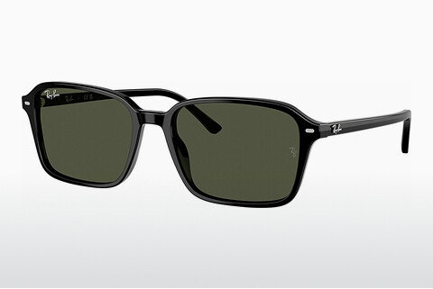 Óculos de marca Ray-Ban RAIMOND (RB2231 901/31)