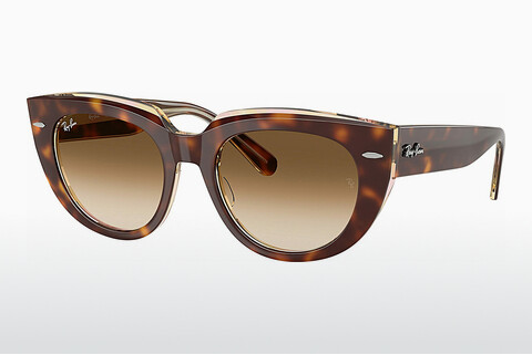 Óculos de marca Ray-Ban DOREEN (RB2286 141451)