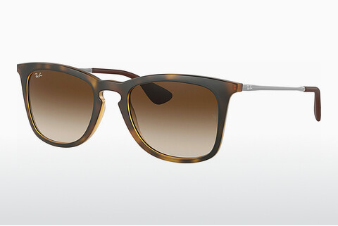 Óculos de marca Ray-Ban RB4221 865/13