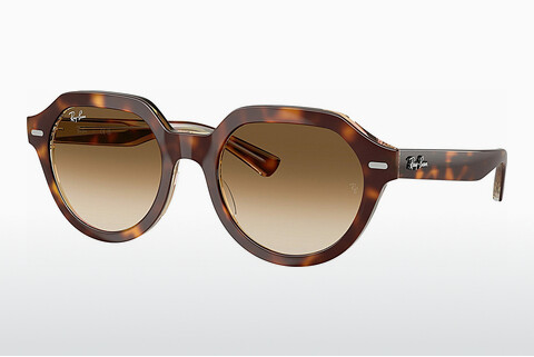 Óculos de marca Ray-Ban GINA (RB4399 141451)