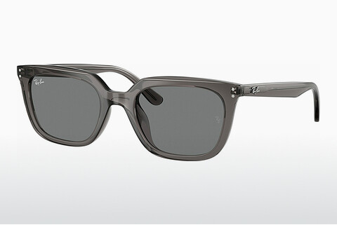 Óculos de marca Ray-Ban RB4439D 667587