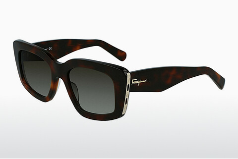 Óculos de marca Salvatore Ferragamo SF1024S 214