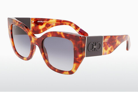 Óculos de marca Salvatore Ferragamo SF1045S 609