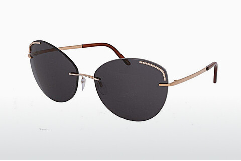 Óculos de marca Silhouette Atelier G502/75 9EE0