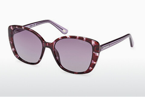 Óculos de marca Skechers SE6265 55D
