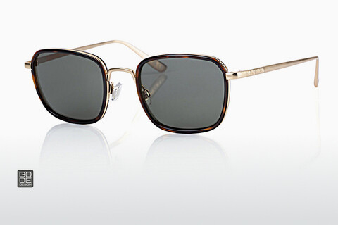 Óculos de marca Superdry SDS Vintageelite 201