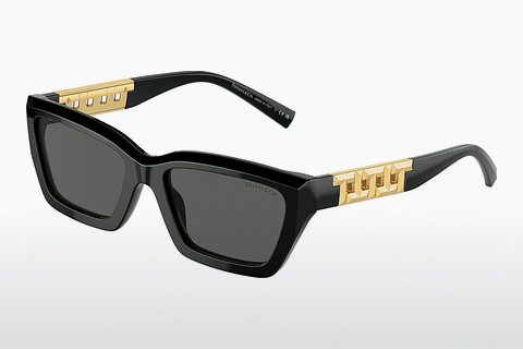 Óculos de marca Tiffany TF4213 8001S4