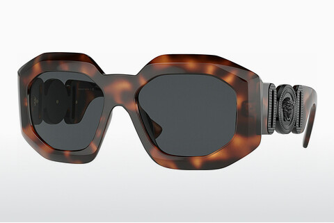 Óculos de marca Versace VE4424U 521787