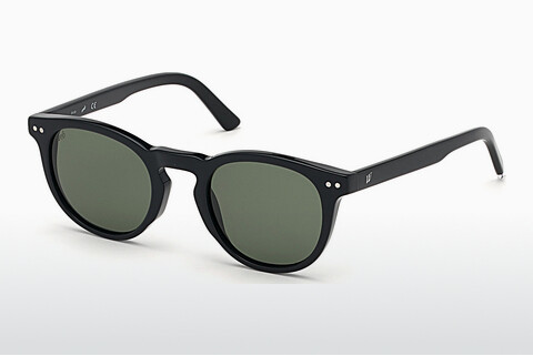 Óculos de marca Web Eyewear WE0251 01N