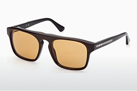 Óculos de marca Web Eyewear WE0325 50E