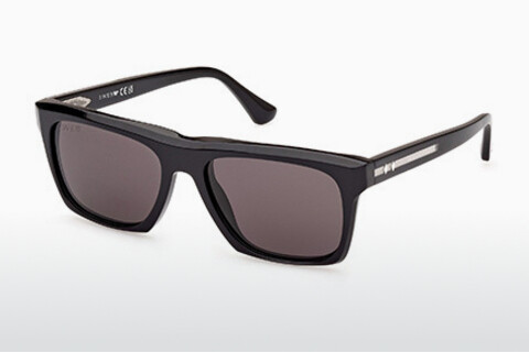 Óculos de marca Web Eyewear WE0350 20E