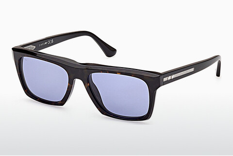 Óculos de marca Web Eyewear WE0350 56V