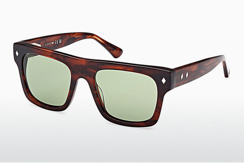 Óculos de marca Web Eyewear WE0354 56N