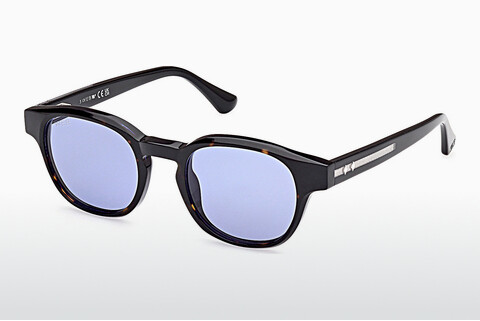 Óculos de marca Web Eyewear WE0361 56V