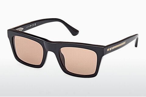 Óculos de marca Web Eyewear WE0362 05J