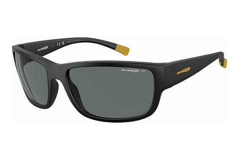 Óculos de marca Arnette BUSHWICK (AN4256 01/81)