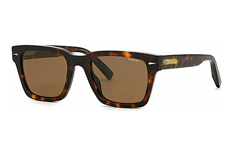 Óculos de marca Chopard SCH337 722P