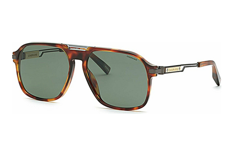Óculos de marca Chopard SCH347 909P