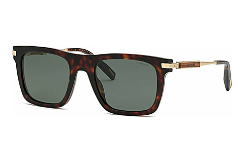 Óculos de marca Chopard SCH365 909P